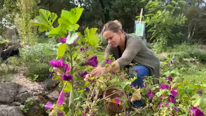 RTL INFO 13h Clean.13_07_56_06.Still003.jpg