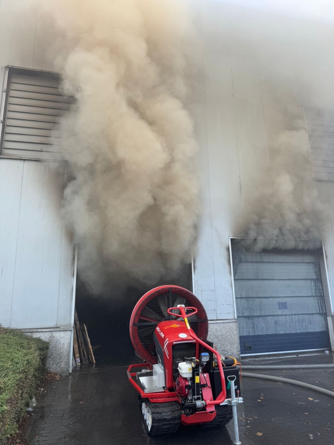 WhatsApp Image 2025-11-07 at 13.51.40.jpeg