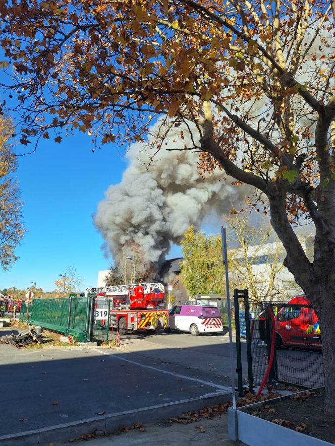 WhatsApp Image 2025-11-07 at 12.58.40.jpeg