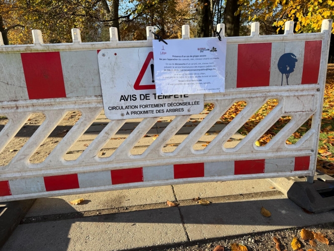 WhatsApp Image 2025-11-08 at 09.56.13 (2).jpeg