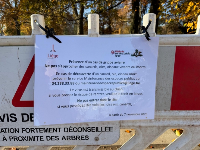 WhatsApp Image 2025-11-08 at 09.56.13 (1).jpeg