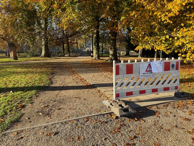 WhatsApp Image 2025-11-08 at 09.56.13.jpeg