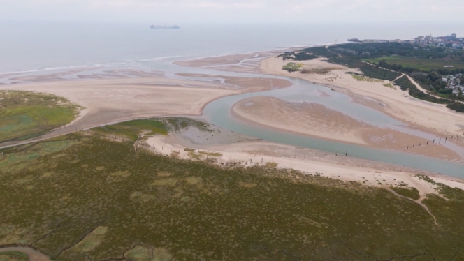 Il y a 6.000 ans, le paysage de la côte belge ressemblait à celui du domaine naturel du Zwin.