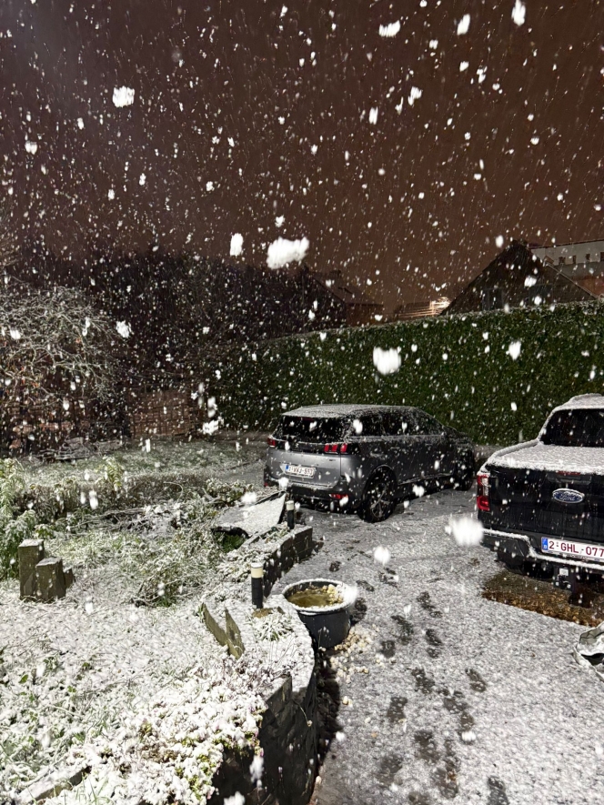 WhatsApp Image 2025-11-19 at 19.12.46.jpeg