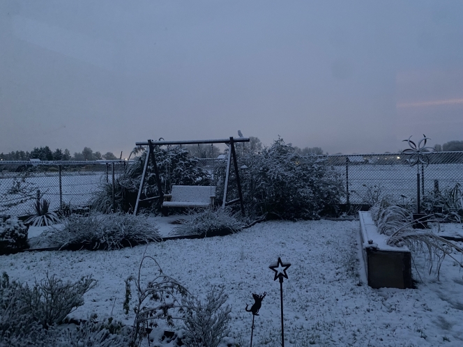 À Renaix, la neige est également tombée cette nuit