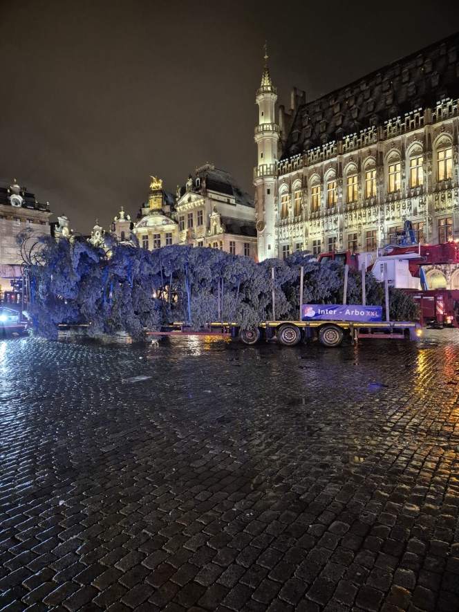 WhatsApp Image 2025-11-20 at 06.37.58.jpeg