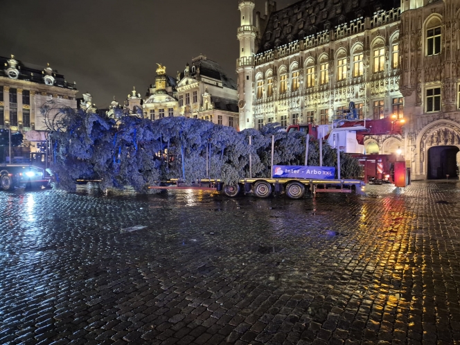 WhatsApp Image 2025-11-20 at 06.37.59.jpeg