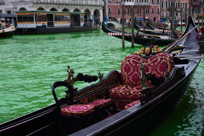 Le Grand canal a été teint durant une manifestation intitulée «Stop écocide»