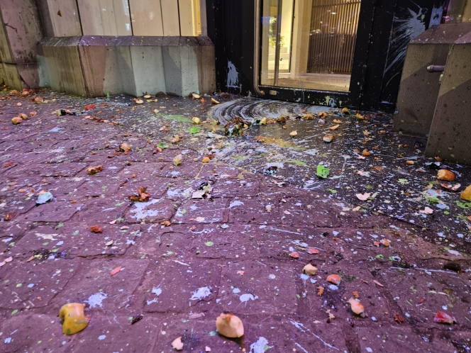 WhatsApp Image 2025-11-26 at 20.31.20 (1).jpeg