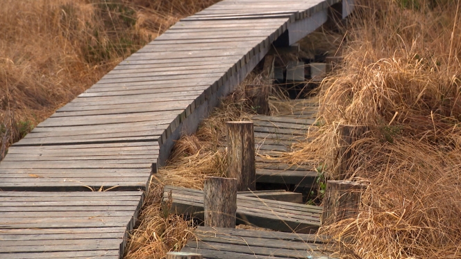 Les quads sont interdits dans la zone.