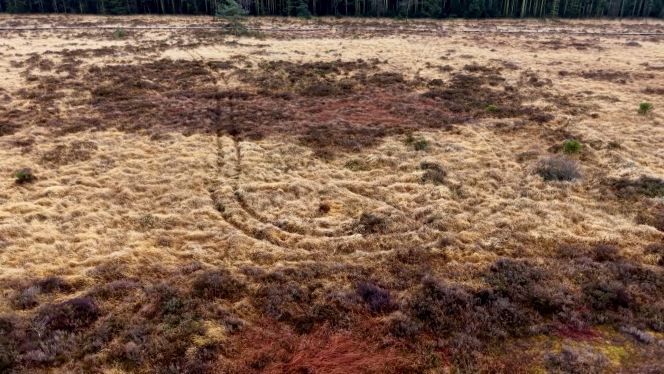 Les quads sont interdits dans la zone.