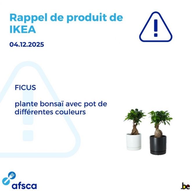 Capture d’écran 2025-12-05 134105.jpg