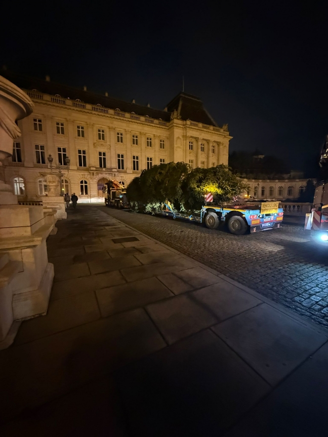 WhatsApp Image 2025-12-08 at 06.17.58 (1).jpeg