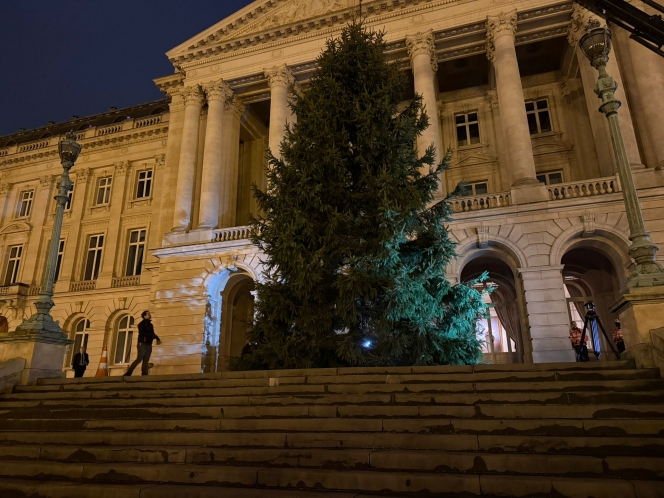 WhatsApp Image 2025-12-08 at 07.14.08 (1).jpeg