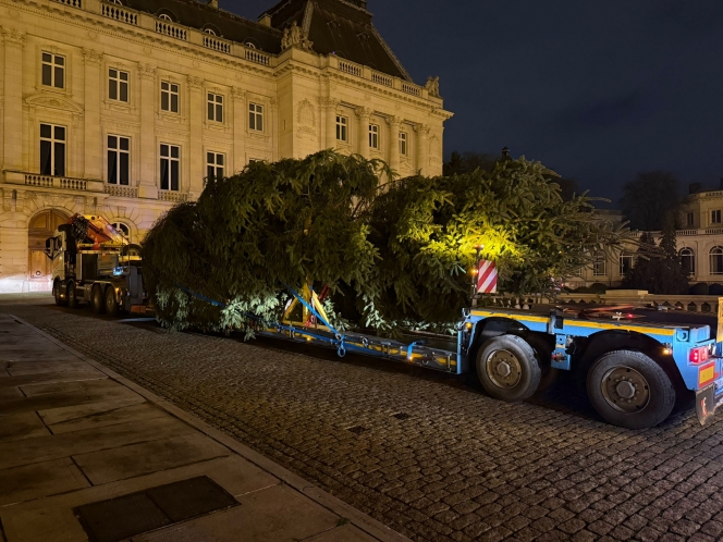 WhatsApp Image 2025-12-08 at 06.17.58.jpeg