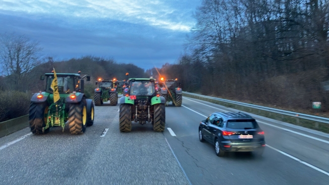 WhatsApp Image 2025-12-18 at 08.47.10.jpeg