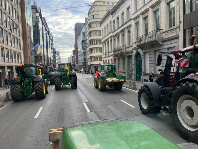 WhatsApp Image 2025-12-18 at 10.33.32.jpeg