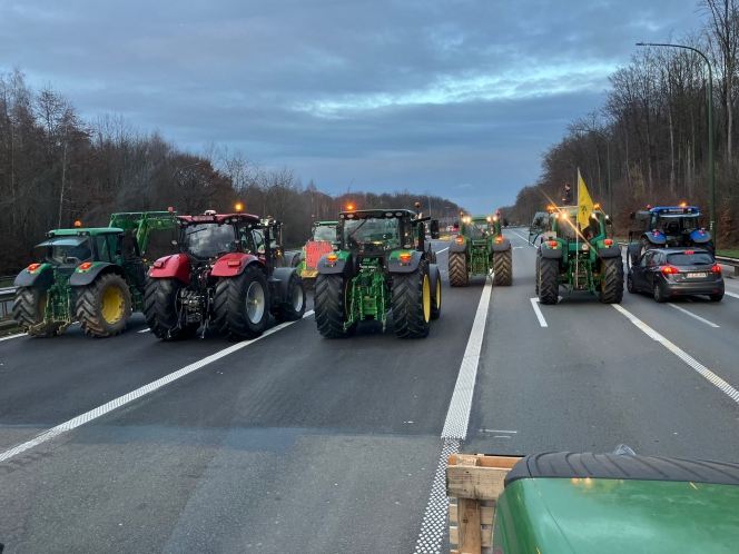 WhatsApp Image 2025-12-18 at 09.11.06.jpeg