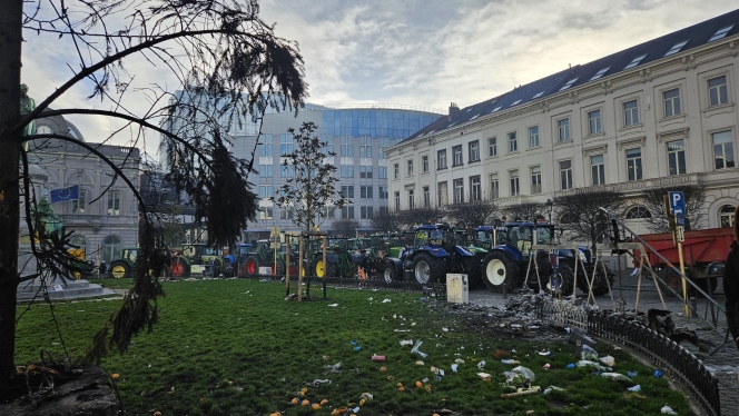 WhatsApp Image 2025-12-18 at 11.33.38 (1).jpeg