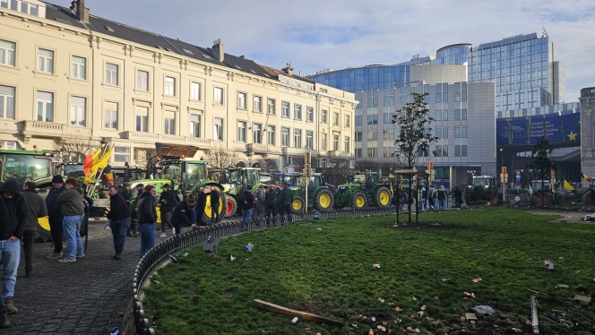 WhatsApp Image 2025-12-18 at 11.33.40.jpeg