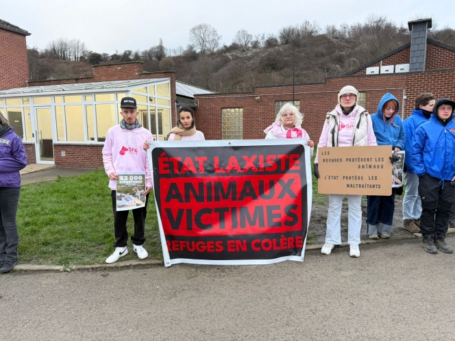 WhatsApp Image 2025-12-23 at 10.01.18.jpeg