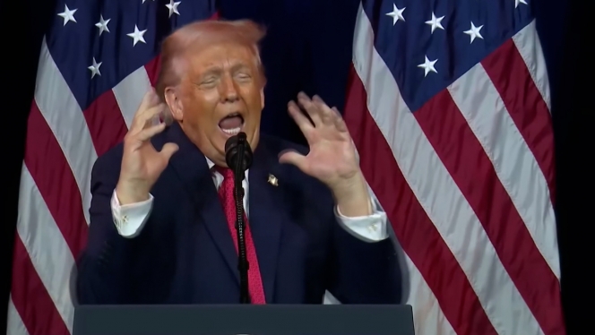 TRUMP DECLARATIONS V4 (C.Monet EW).00_01_47_08.Still003.jpg