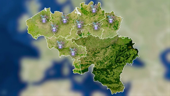 belgique_drogues copy.jpg