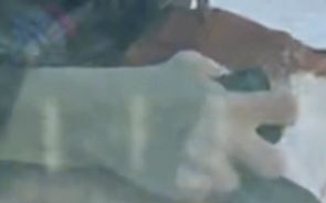 Une nouvelle image sème le doute : téléphone ou arme ?