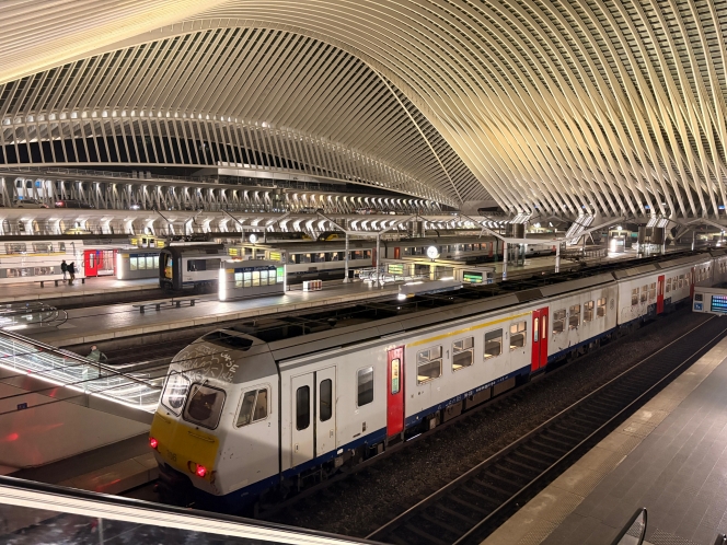 WhatsApp Image 2026-01-26 at 06.47.50.jpeg