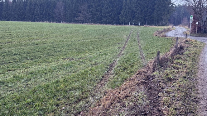 Traces de pneus de la Porsche dont les gaz sont restés bloqués