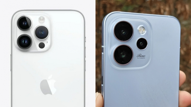 Une ressemblance assez évidente…