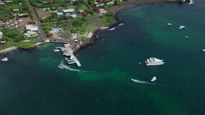 Île Floreana - L'Équateur réintroduite 158 tortues géantes sur une île des Galápagos.00_00_09_09.Still004.jpg