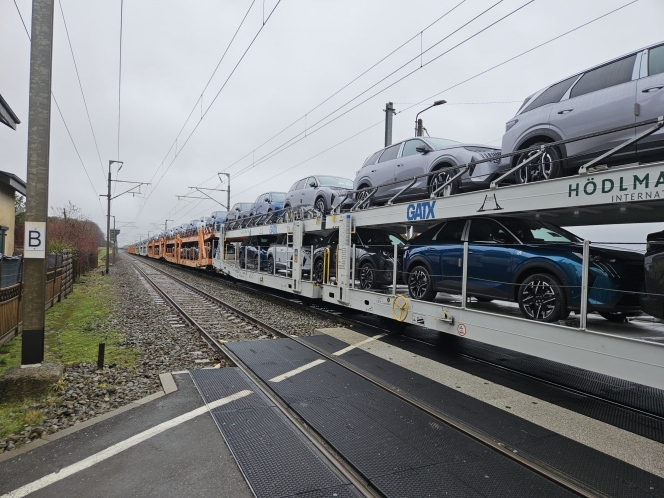 WhatsApp Image 2026-02-21 at 10.15.12.jpeg