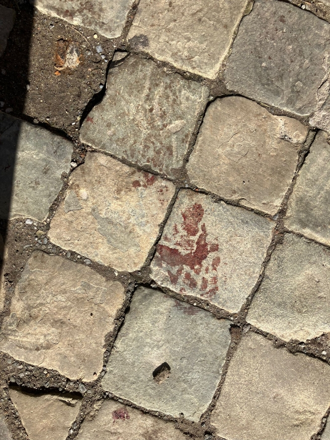 WhatsApp Image 2026-02-25 at 12.13.53 (1).jpeg