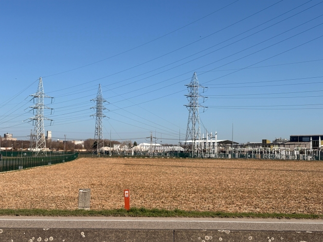 1c7b225a-0b3b-4e7d-b4d1-bd468ee4328f.jfif