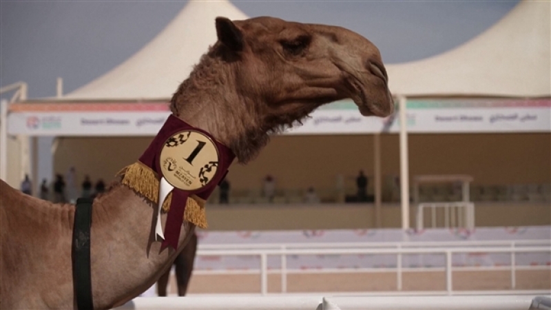 grab_20221130_112740_1