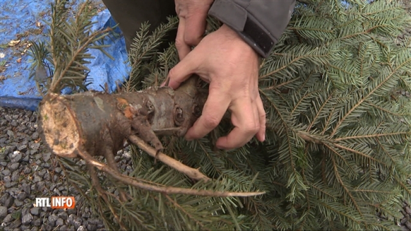 grab_20221203_133151_989