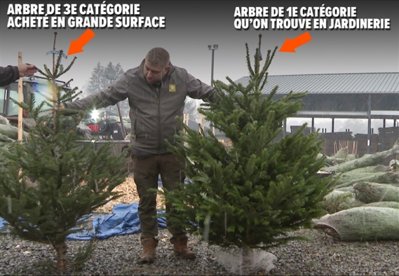 grab_20221203_133934_989