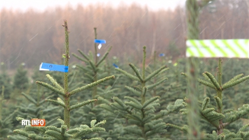 grab_20221203_133748_989