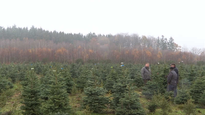 grab_20221203_134437_989