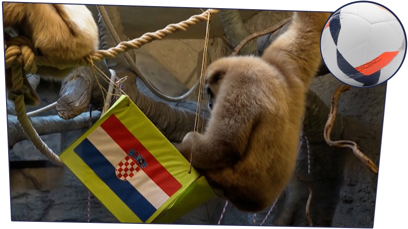 maquette qatar ballon ok