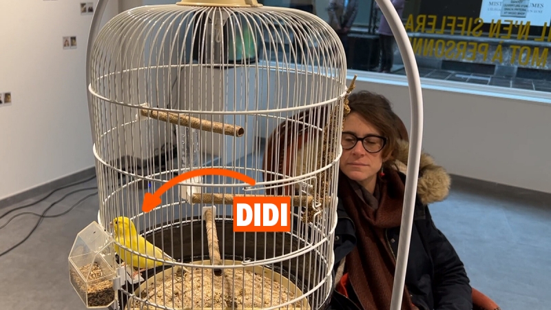 grab_20221220_131024_1